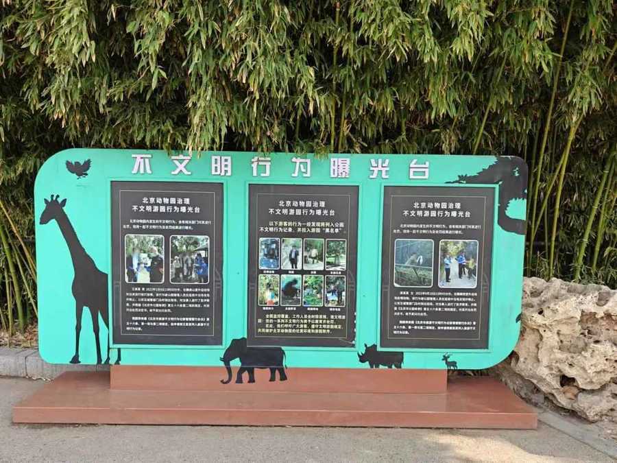 北京动物园规范直播熊猫行为，主播登记备案并规范内容