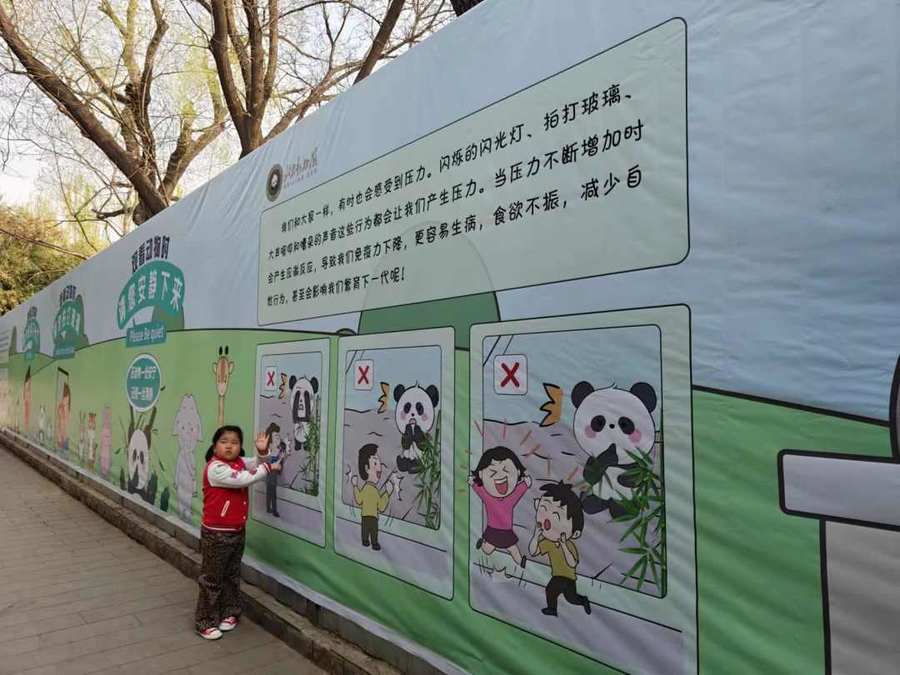 北京动物园规范直播熊猫行为，主播登记备案并规范内容