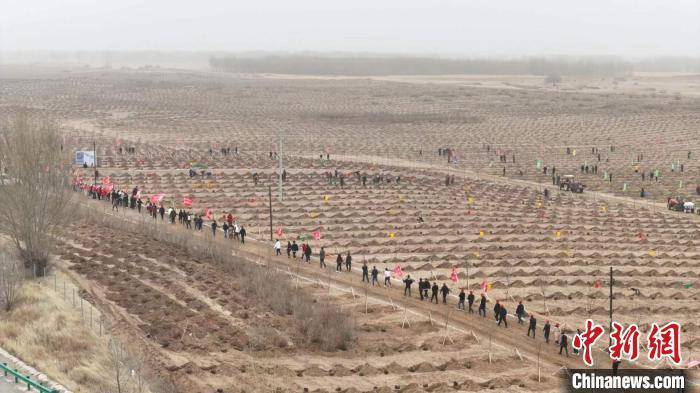科尔沁治沙记：沙荒地增绿盐碱地生金