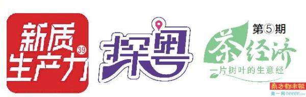 茶香千年韵 “东方金美人”出国门
