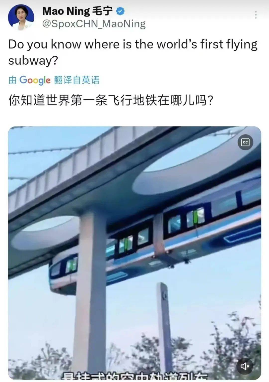 外交部转发！武汉空轨上有羊驼