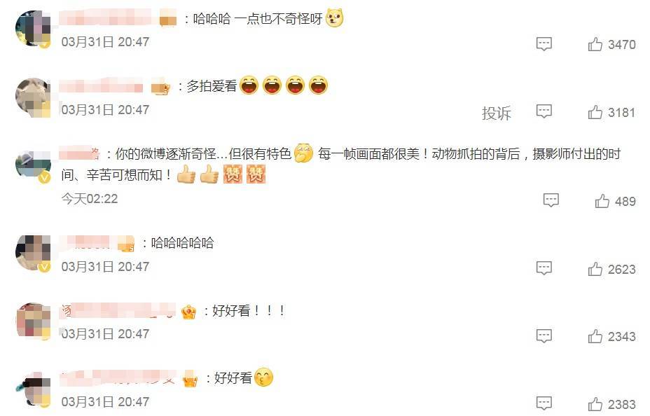 演员李现晒出多张“打鸟”图，网友：是被演员耽误的摄影师