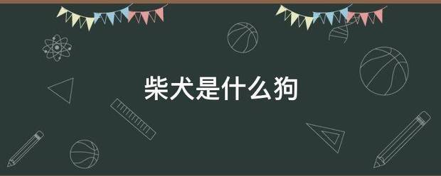 柴犬是什么狗