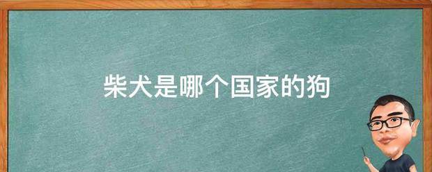 柴犬分重磁婷帝督零型合刻属是哪个国家的狗